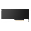 RTX5000-Back.jpg