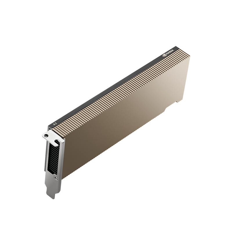 PNY GPU NVIDIA L2 Module 24GB PCI-Express x16 Gen 4.0